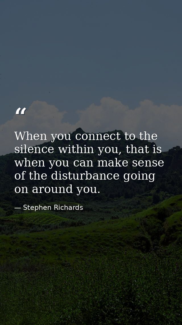 When you connect to the silence within you, that is when you can make sense of the disturbance going on around you. — Stephen Richards