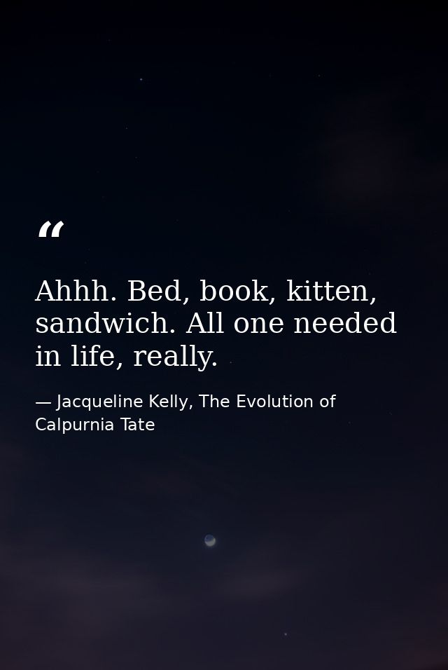 Ahhh. Bed, book, kitten, sandwich. All one needed in life, really. — Jacqueline Kelly, The Evolution of Calpurnia Tate