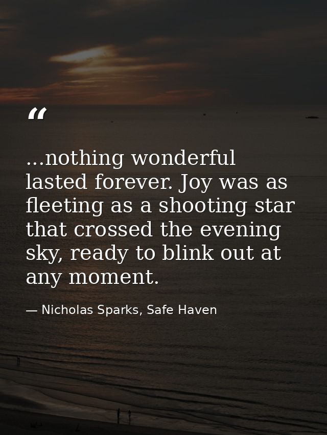 ...nothing wonderful lasted forever. Joy was as fleeting as a shooting star that crossed the evening sky, ready to blink — Nicholas Sparks, Safe Haven