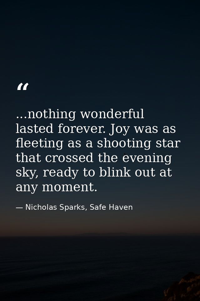 ...nothing wonderful lasted forever. Joy was as fleeting as a shooting star that crossed the evening sky, ready to blink — Nicholas Sparks, Safe Haven