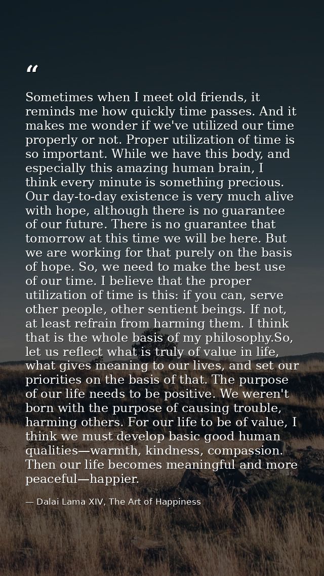 Sometimes when I meet old friends, it reminds me how quickly time passes. And it makes me wonder if we've utilized our t — Dalai Lama XIV, The Art of Happiness