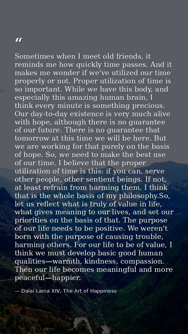Sometimes when I meet old friends, it reminds me how quickly time passes. And it makes me wonder if we've utilized our t — Dalai Lama XIV, The Art of Happiness