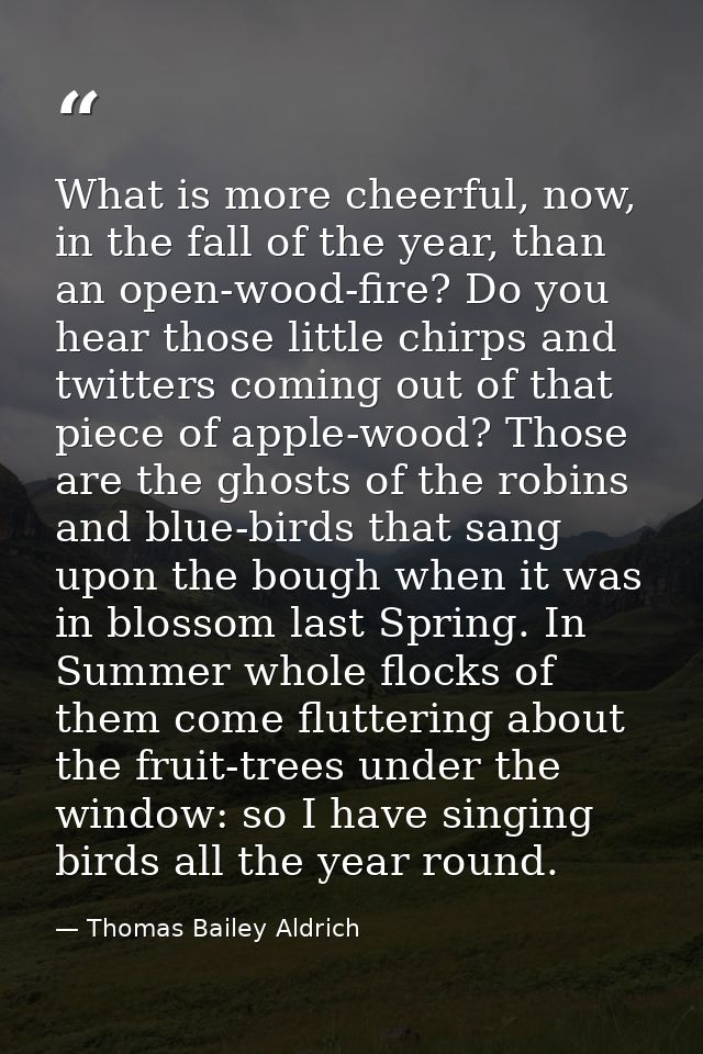 What is more cheerful, now, in the fall of the year, than an open-wood-fire? Do you hear those little chirps and twitter — Thomas Bailey Aldrich
