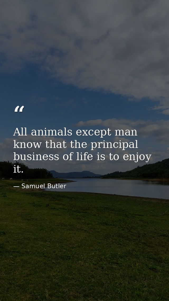 All animals except man know that the principal business of life is to enjoy it. — Samuel Butler