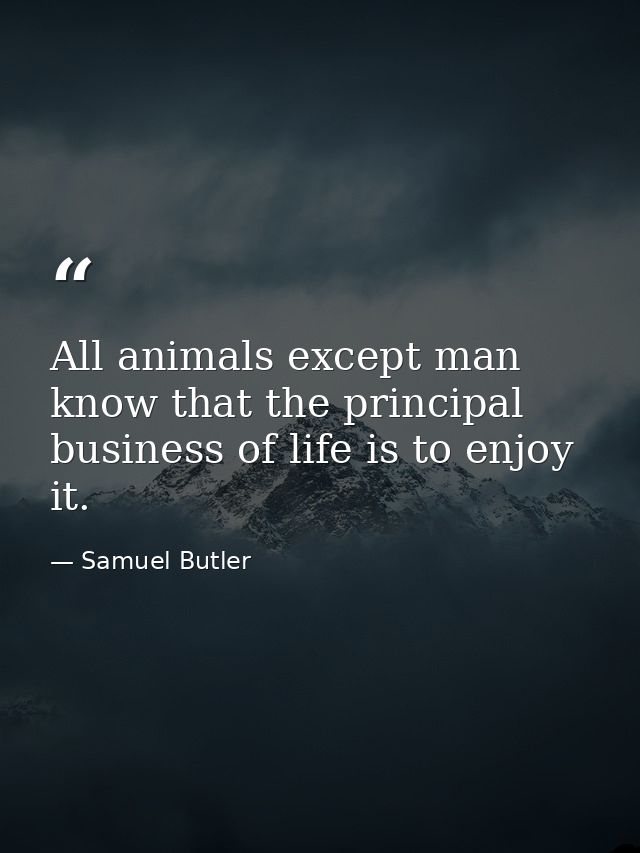All animals except man know that the principal business of life is to enjoy it. — Samuel Butler