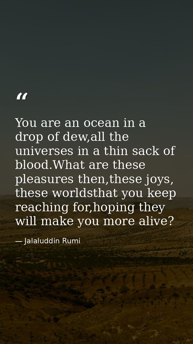 You are an ocean in a drop of dew,all the universes in a thin sack of blood.What are these pleasures then,these joys, th — Jalaluddin Rumi