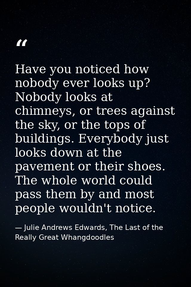 Have you noticed how nobody ever looks up? Nobody looks at chimneys, or trees against the sky, or the tops of buildings. — Julie Andrews Edwards, The Last of the Really Great Whangdoodles