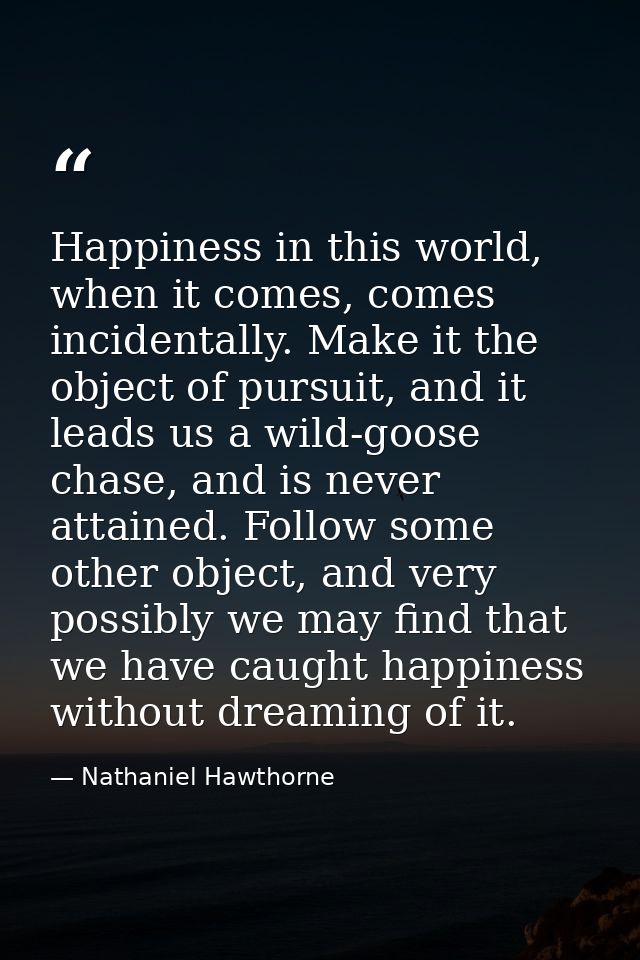 Happiness in this world, when it comes, comes incidentally. Make it the object of pursuit, and it leads us a wild-goose  — Nathaniel Hawthorne