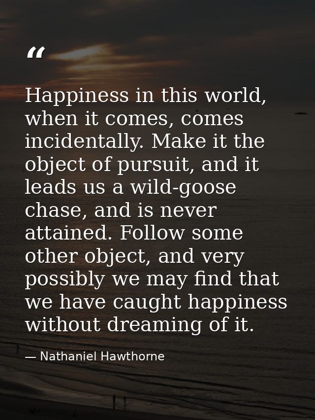 Happiness in this world, when it comes, comes incidentally. Make it the object of pursuit, and it leads us a wild-goose  — Nathaniel Hawthorne