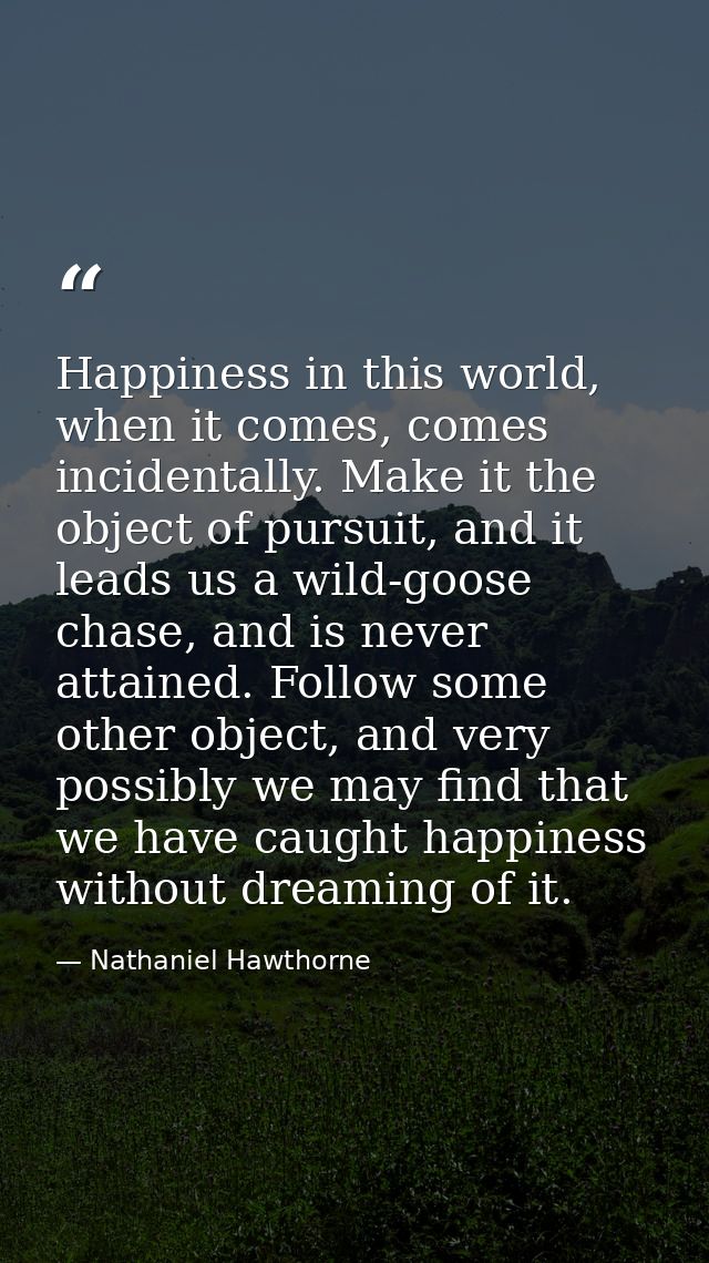 Happiness in this world, when it comes, comes incidentally. Make it the object of pursuit, and it leads us a wild-goose  — Nathaniel Hawthorne