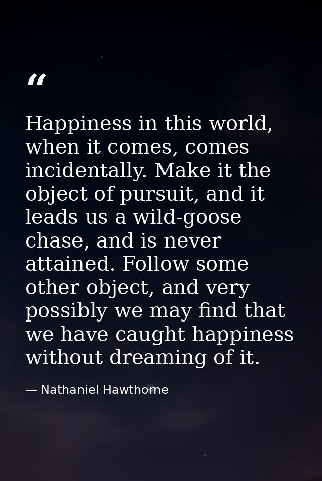 Happiness in this world, when it comes, comes incidentally. Make it the object of pursuit, and it leads us a wild-goose  — Nathaniel Hawthorne