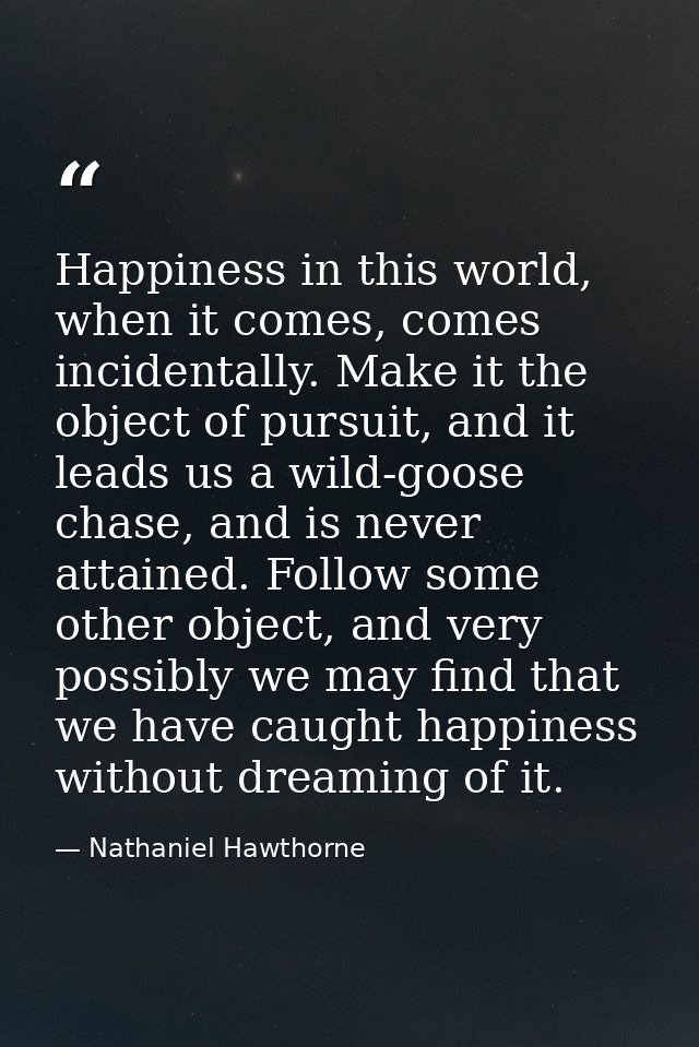 Happiness in this world, when it comes, comes incidentally. Make it the object of pursuit, and it leads us a wild-goose  — Nathaniel Hawthorne