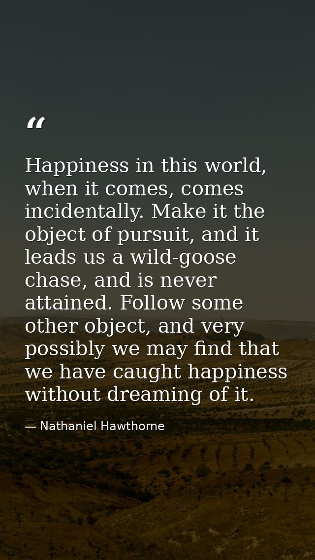 Happiness in this world, when it comes, comes incidentally. Make it the object of pursuit, and it leads us a wild-goose  — Nathaniel Hawthorne