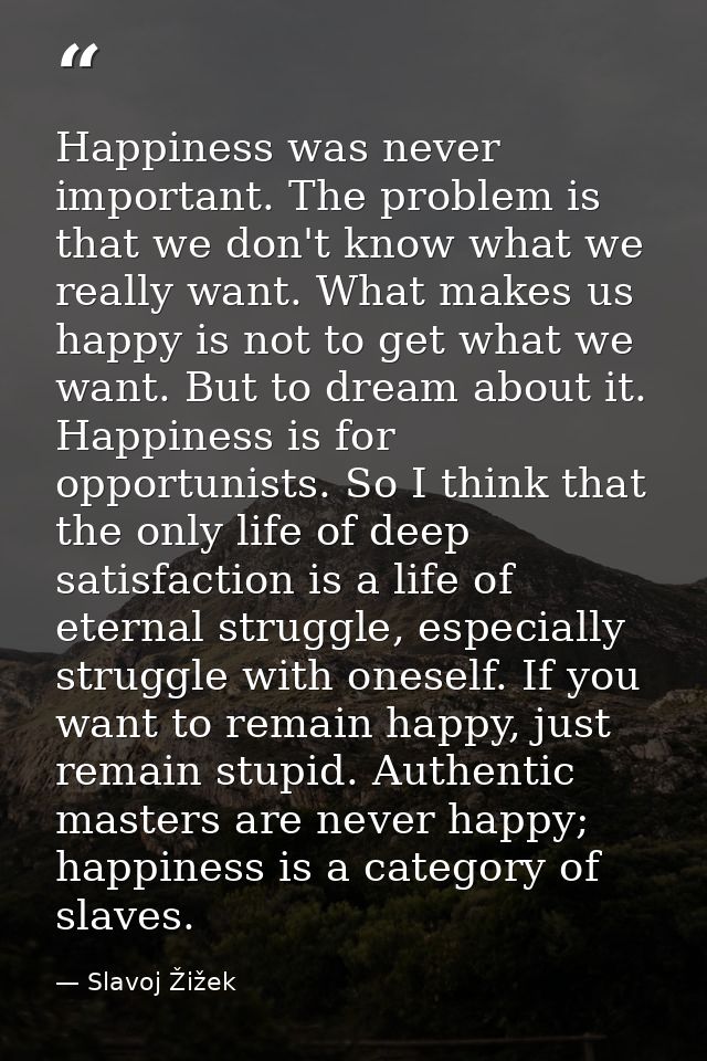 Happiness was never important. The problem is that we don't know what we really want. What makes us happy is not to get  — Slavoj Žižek