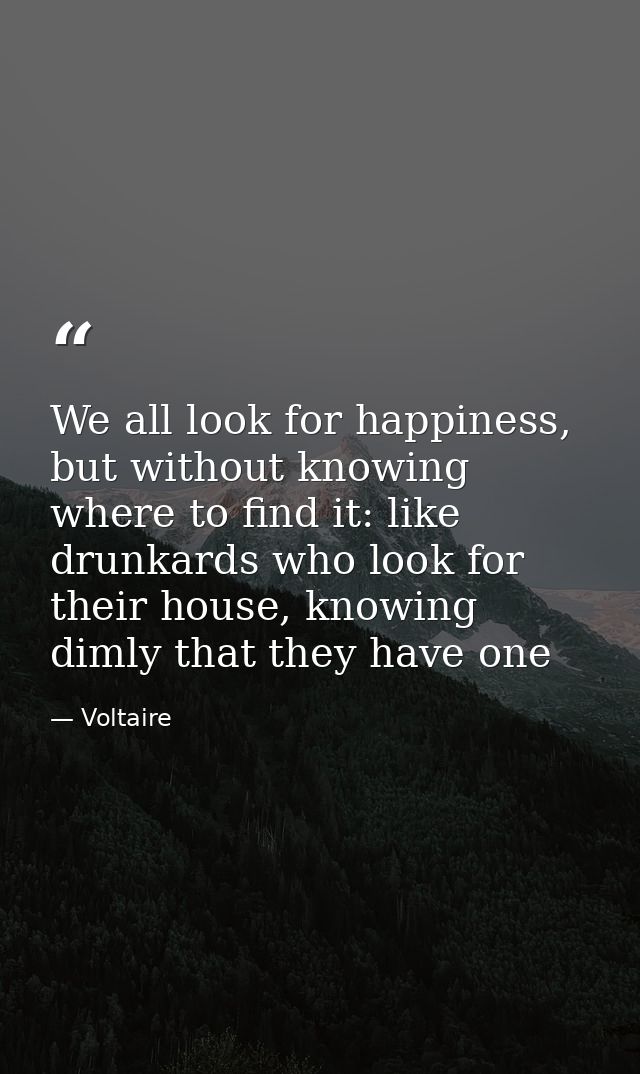We all look for happiness, but without knowing where to find it: like drunkards who look for their house, knowing dimly  — Voltaire
