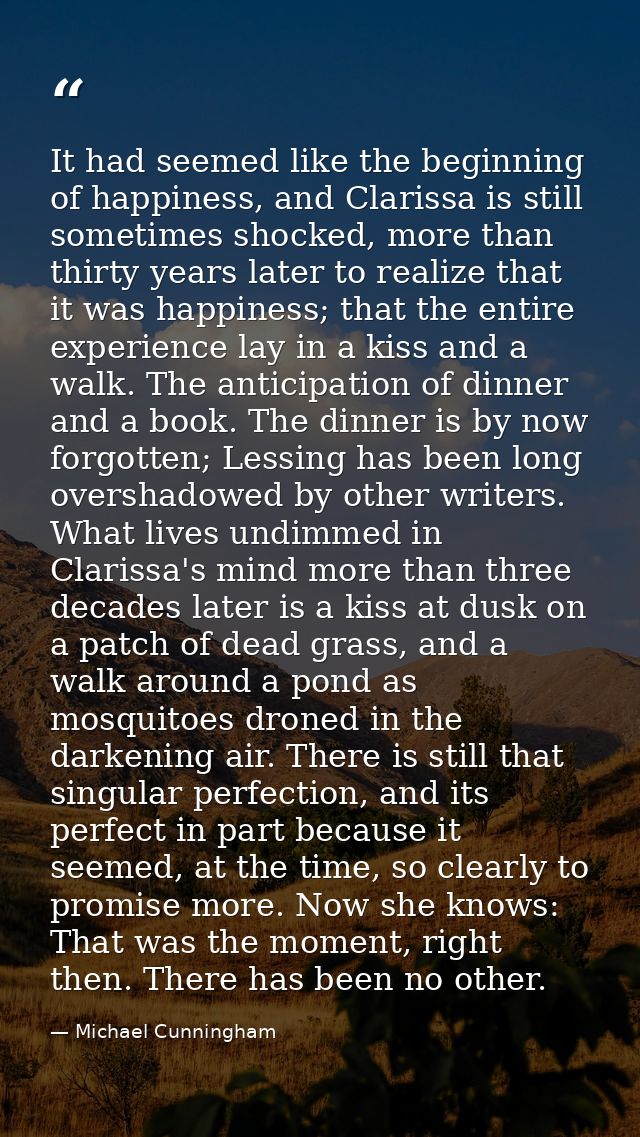 It had seemed like the beginning of happiness, and Clarissa is still sometimes shocked, more than thirty years later to  — Michael Cunningham