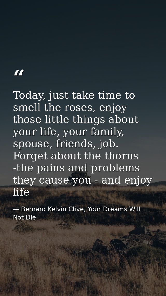 Today, just take time to smell the roses, enjoy those little things about your life, your family, spouse, friends, job.  — Bernard Kelvin Clive, Your Dreams Will Not Die