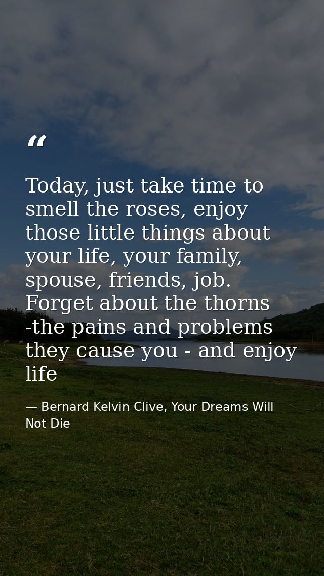 Today, just take time to smell the roses, enjoy those little things about your life, your family, spouse, friends, job.  — Bernard Kelvin Clive, Your Dreams Will Not Die