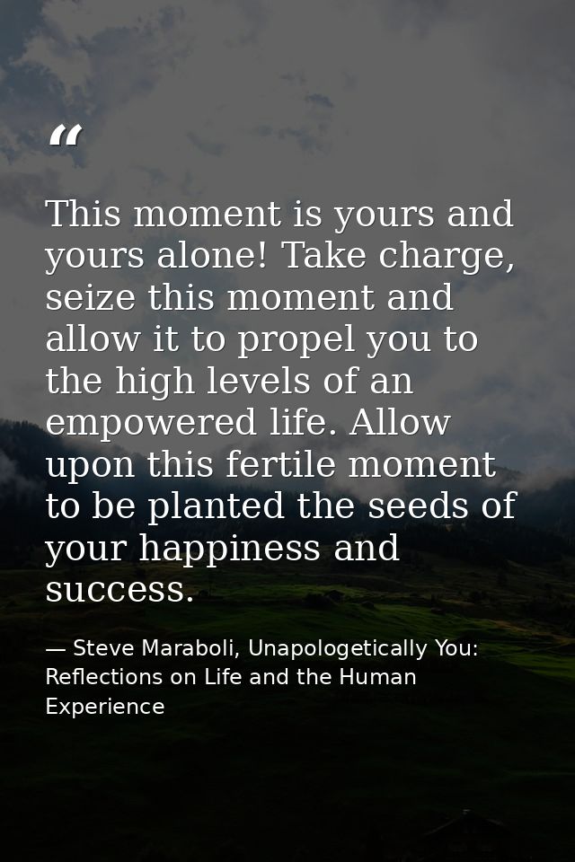 This moment is yours and yours alone! Take charge, seize this moment and allow it to propel you to the high levels of an — Steve Maraboli, Unapologetically You: Reflections on Life and the Human Experience
