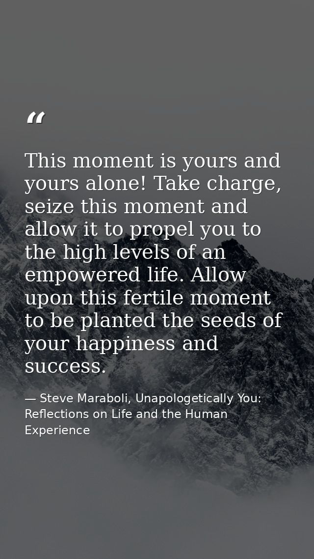 This moment is yours and yours alone! Take charge, seize this moment and allow it to propel you to the high levels of an — Steve Maraboli, Unapologetically You: Reflections on Life and the Human Experience