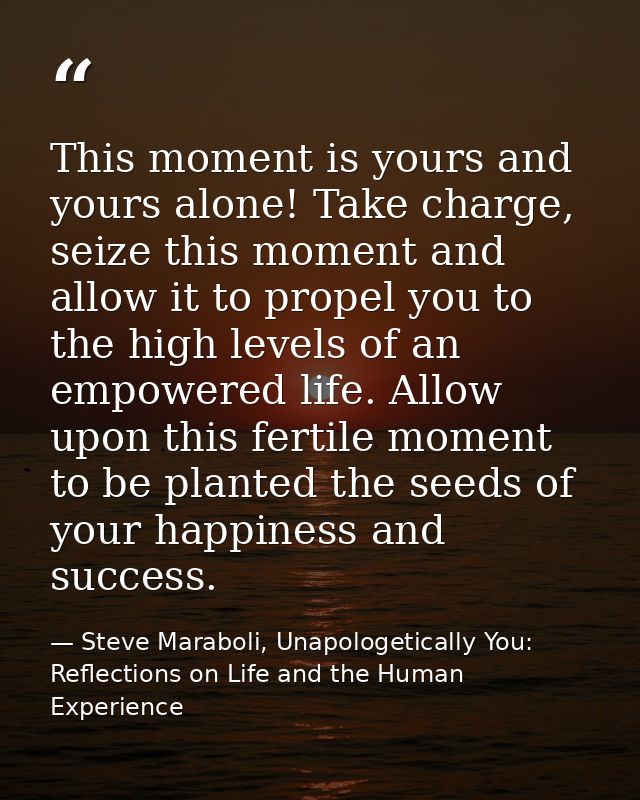 This moment is yours and yours alone! Take charge, seize this moment and allow it to propel you to the high levels of an — Steve Maraboli, Unapologetically You: Reflections on Life and the Human Experience