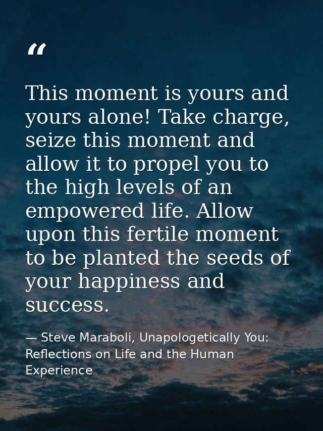 This moment is yours and yours alone! Take charge, seize this moment and allow it to propel you to the high levels of an — Steve Maraboli, Unapologetically You: Reflections on Life and the Human Experience