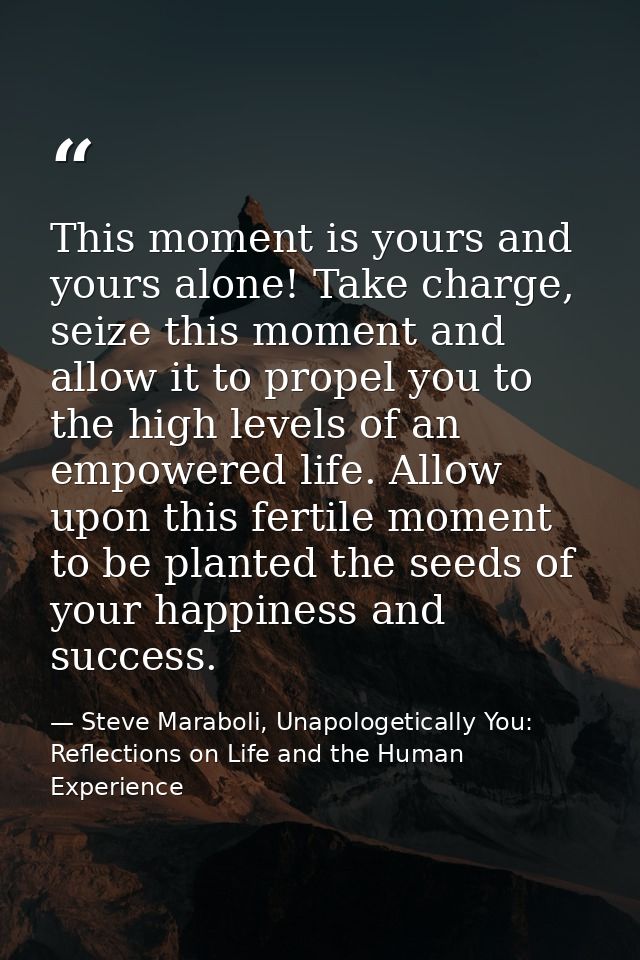 This moment is yours and yours alone! Take charge, seize this moment and allow it to propel you to the high levels of an — Steve Maraboli, Unapologetically You: Reflections on Life and the Human Experience