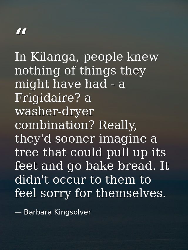 In Kilanga, people knew nothing of things they might have had - a Frigidaire? a washer-dryer combination? Really, they'd — Barbara Kingsolver