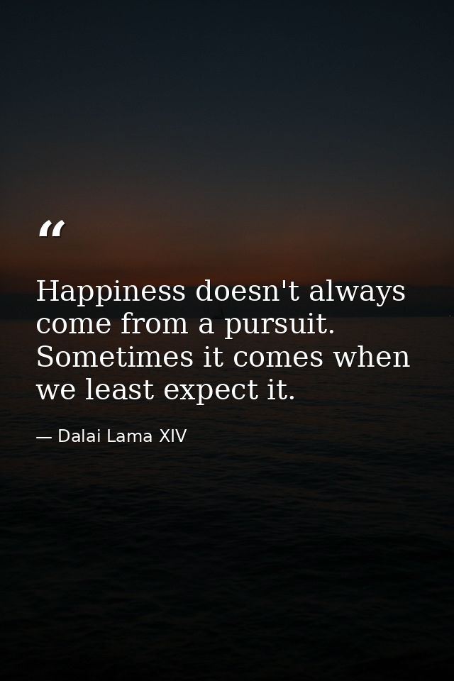 Happiness doesn't always come from a pursuit. Sometimes it comes when we least expect it. — Dalai Lama XIV