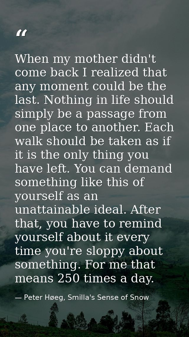 When my mother didn't come back I realized that any moment could be the last. Nothing in life should simply be a passage — Peter Høeg, Smilla's Sense of Snow