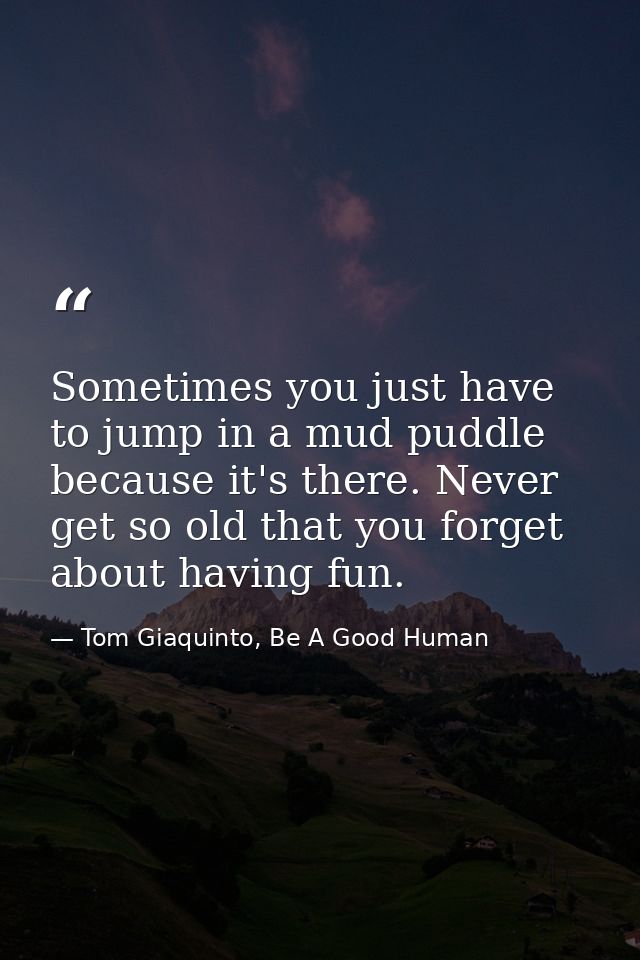 Sometimes you just have to jump in a mud puddle because it's there. Never get so old that you forget about having fun. — Tom Giaquinto, Be A Good Human