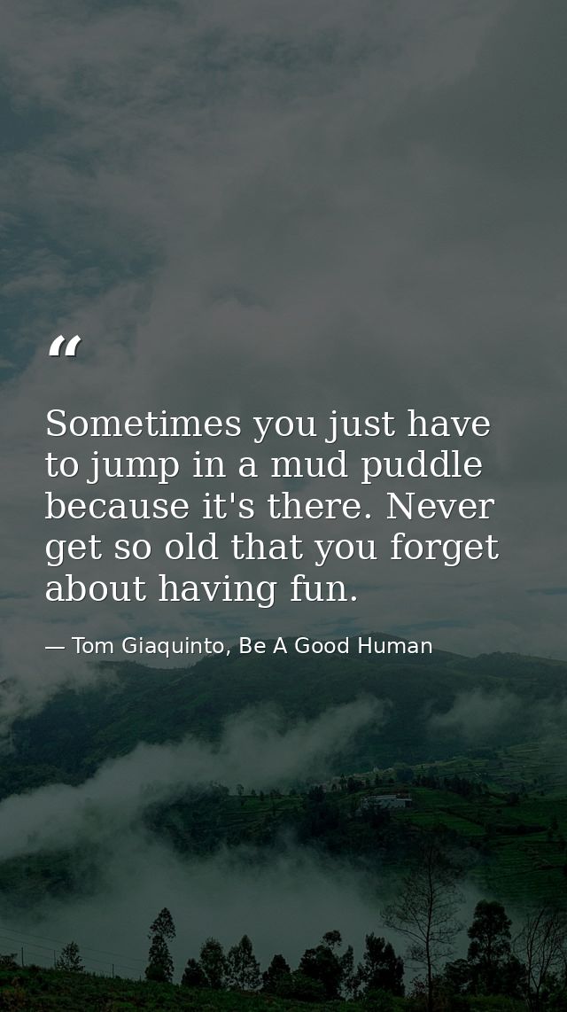 Sometimes you just have to jump in a mud puddle because it's there. Never get so old that you forget about having fun. — Tom Giaquinto, Be A Good Human