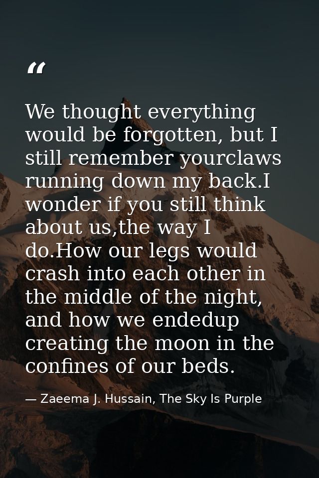 We thought everything would be forgotten, but I still remember yourclaws running down my back.I wonder if you still thin — Zaeema J. Hussain, The Sky Is Purple