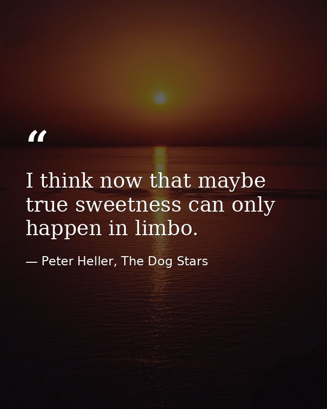 I think now that maybe true sweetness can only happen in limbo. — Peter Heller, The Dog Stars