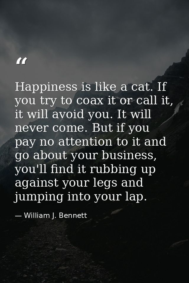 Happiness is like a cat. If you try to coax it or call it, it will avoid you. It will never come. But if you pay no atte — William J. Bennett