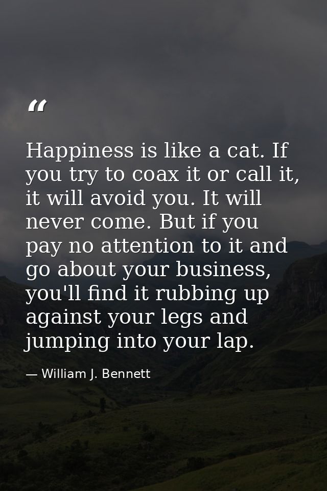 Happiness is like a cat. If you try to coax it or call it, it will avoid you. It will never come. But if you pay no atte — William J. Bennett