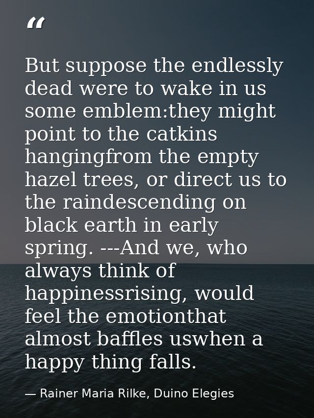 But suppose the endlessly dead were to wake in us some emblem:they might point to the catkins hangingfrom the empty haze — Rainer Maria Rilke, Duino Elegies