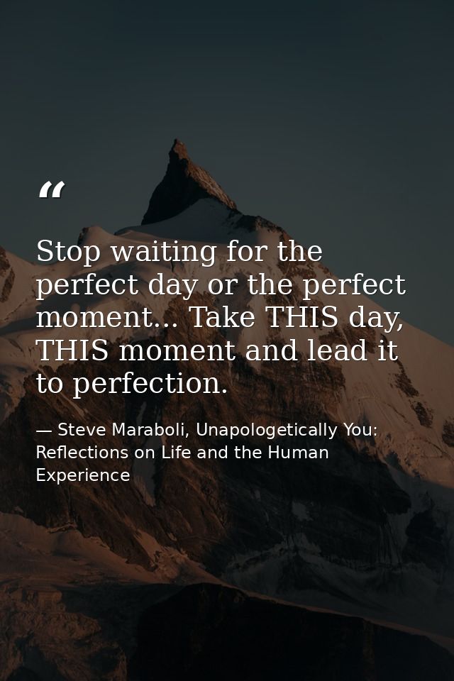 Stop waiting for the perfect day or the perfect moment... Take THIS day, THIS moment and lead it to perfection. — Steve Maraboli, Unapologetically You: Reflections on Life and the Human Experience