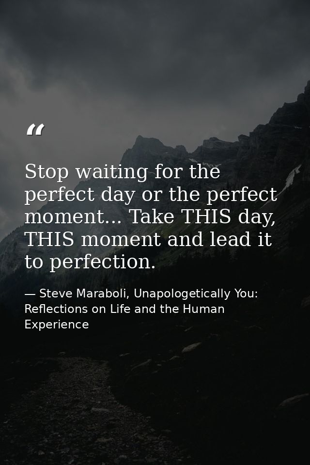 Stop waiting for the perfect day or the perfect moment... Take THIS day, THIS moment and lead it to perfection. — Steve Maraboli, Unapologetically You: Reflections on Life and the Human Experience