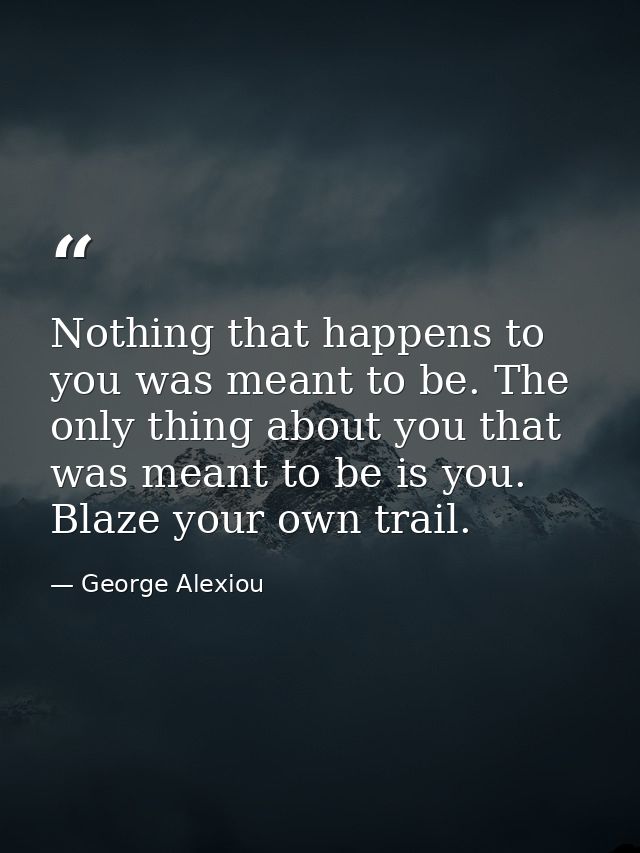 Nothing that happens to you was meant to be. The only thing about you that was meant to be is you. Blaze your own trail. — George Alexiou