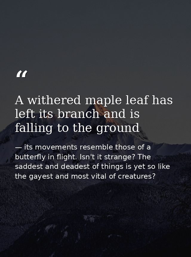 A withered maple leaf has left its branch and is falling to the ground — its movements resemble those of a butterfly in flight. Isn't it strange? The saddest and deadest of things is yet so like the gayest and most vital of creatures?