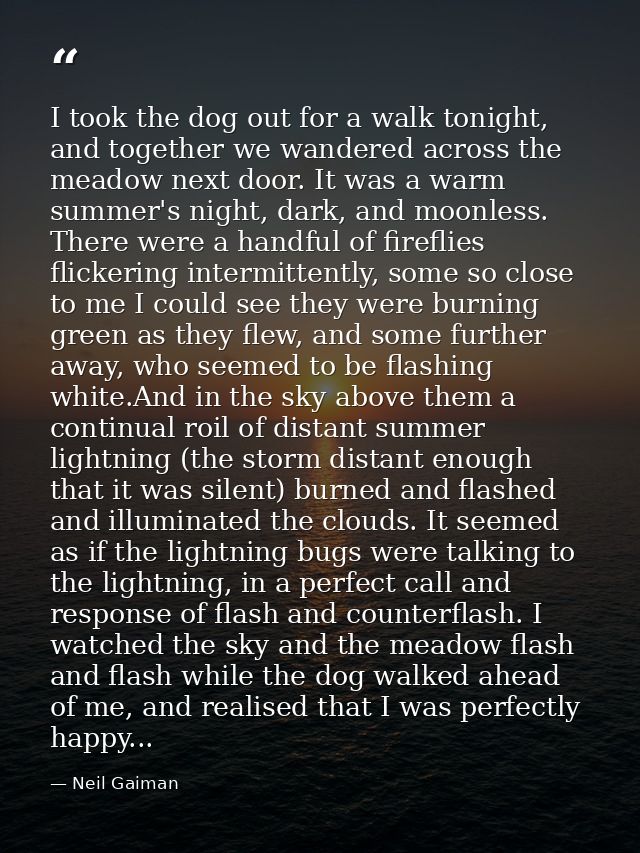 I took the dog out for a walk tonight, and together we wandered across the meadow next door. It was a warm summer's nigh — Neil Gaiman