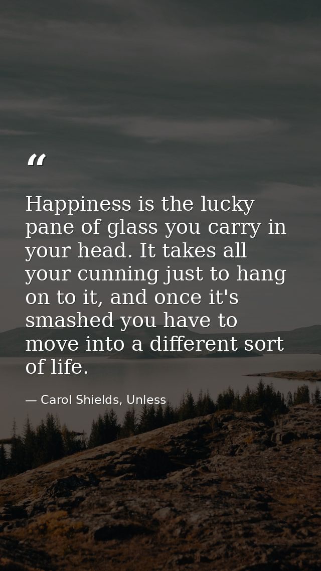 Happiness is the lucky pane of glass you carry in your head. It takes all your cunning just to hang on to it, and once i — Carol Shields, Unless