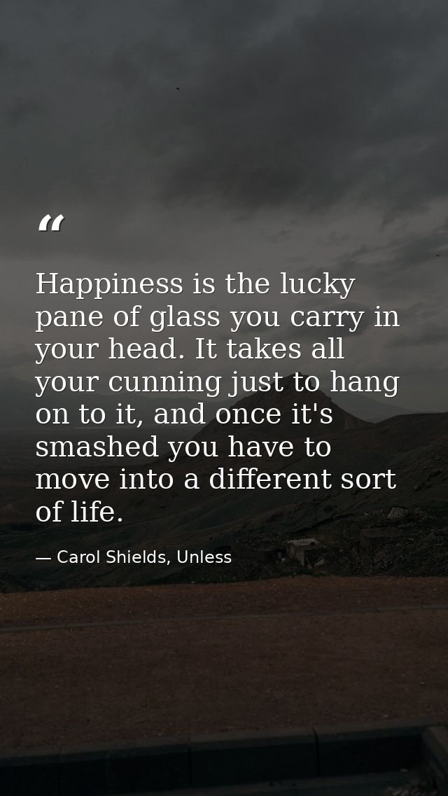 Happiness is the lucky pane of glass you carry in your head. It takes all your cunning just to hang on to it, and once i — Carol Shields, Unless