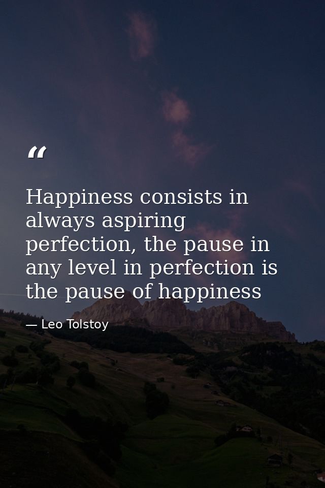 Happiness consists in always aspiring perfection, the pause in any level in perfection is the pause of happiness — Leo Tolstoy