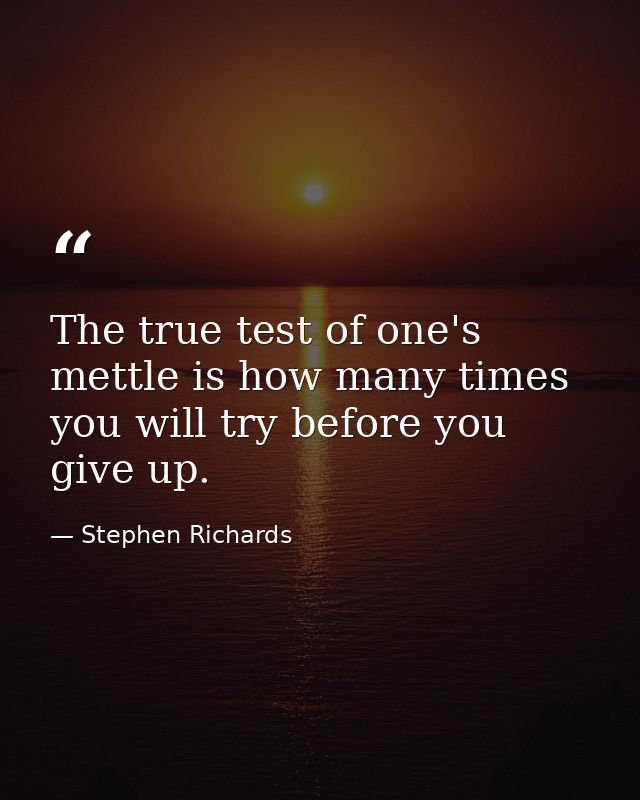 The true test of one's mettle is how many times you will try before you give up. — Stephen Richards