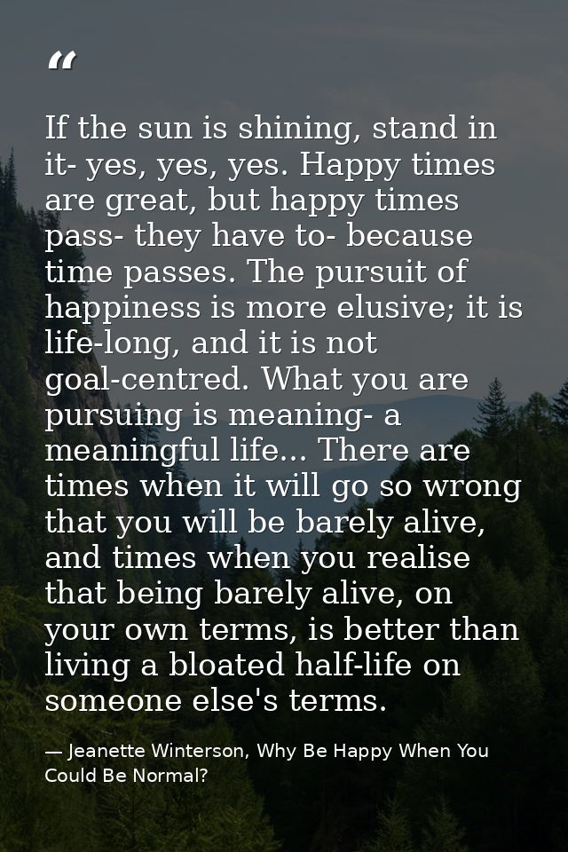 If the sun is shining, stand in it- yes, yes, yes. Happy times are great, but happy times pass- they have to- because ti — Jeanette Winterson, Why Be Happy When You Could Be Normal?
