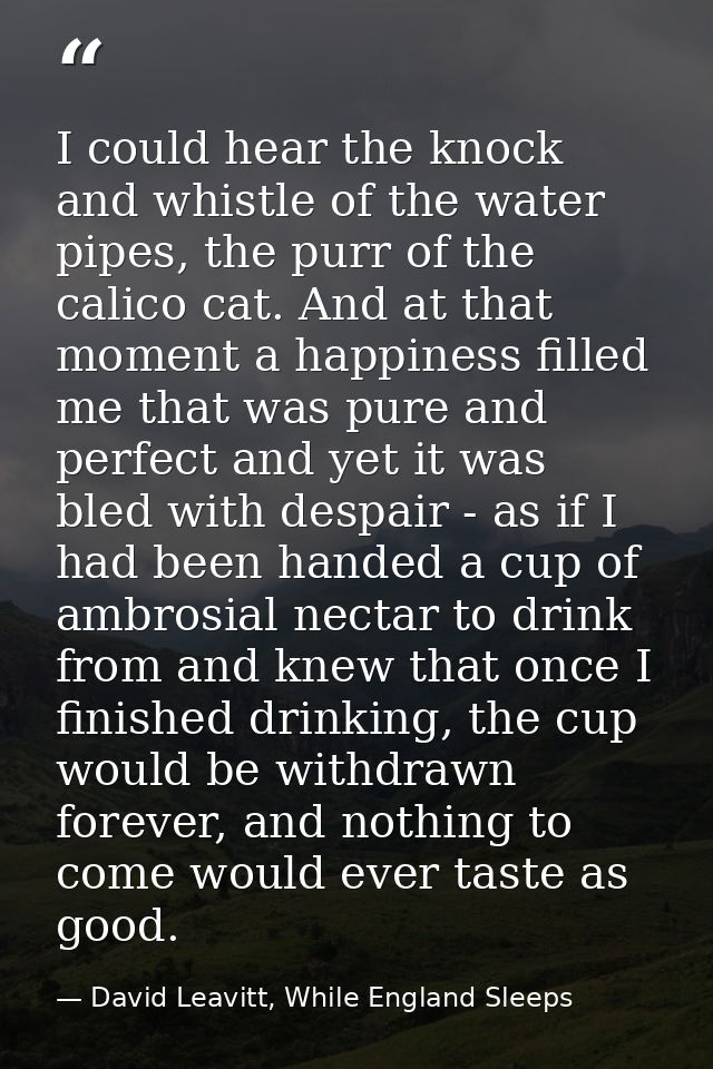 I could hear the knock and whistle of the water pipes, the purr of the calico cat. And at that moment a happiness filled — David Leavitt, While England Sleeps