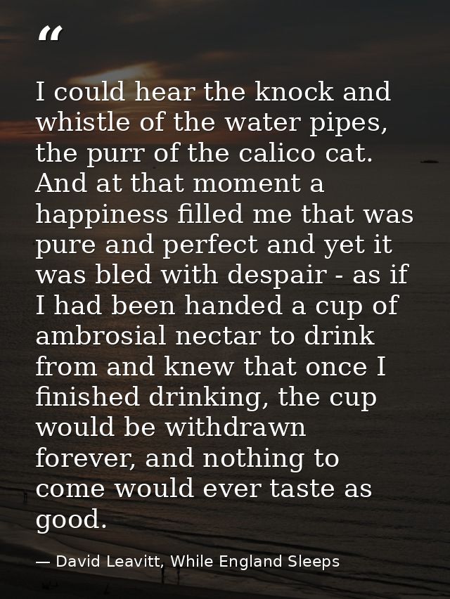 I could hear the knock and whistle of the water pipes, the purr of the calico cat. And at that moment a happiness filled — David Leavitt, While England Sleeps