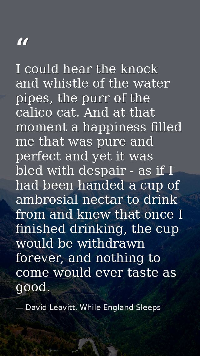 I could hear the knock and whistle of the water pipes, the purr of the calico cat. And at that moment a happiness filled — David Leavitt, While England Sleeps